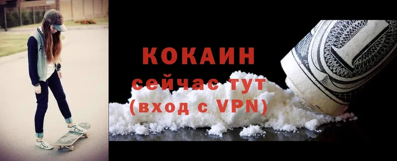 наркошоп  блэк спрут маркетплейс  КОКАИН Fish Scale  Себеж 